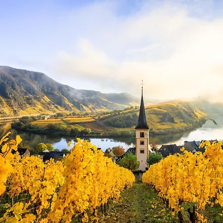 Living Stilvolle Nahe Bernkastel-kues, Disneyplus, Netflix, Grosser Tv & Parkplatz *