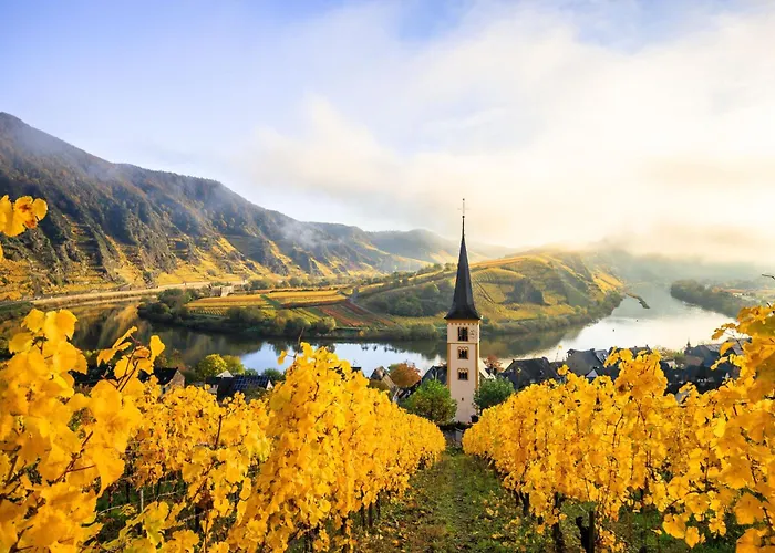 Living Stilvolle Nahe Bernkastel-kues, Disneyplus, Netflix, Grosser Tv & Parkplatz *