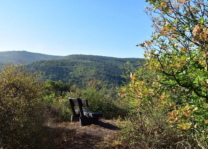 Living Stilvolle Nahe Bernkastel-kues, Disneyplus, Netflix, Grosser Tv & Parkplatz Apartamento *